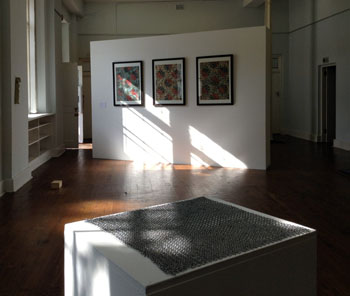 "The Difference Loom" exhibition in situ image with works by David Mabb, Fabian Saptouw, and Quanta Gauld